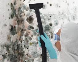 Environmental Consulting for Mold Prevention in Ocean Springs, MS